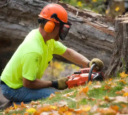 tree services Lame Deer